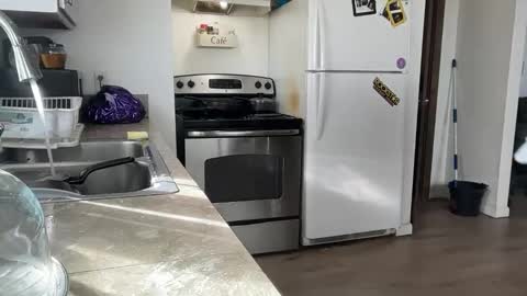 Daniel  Noelia online show from November 2025 08:55:01 PM