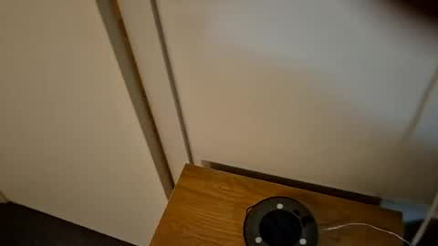 bigjoeyblow online show from August 2026 08:49:01 AM
