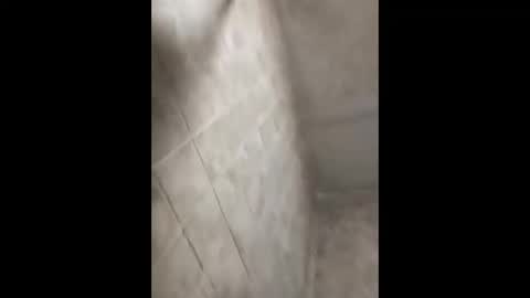 Snapshot of bignastyfilthy chatting on September 2025 02:38:02 AM bignastyfilthy online show from September 2025 02:38:02 AM