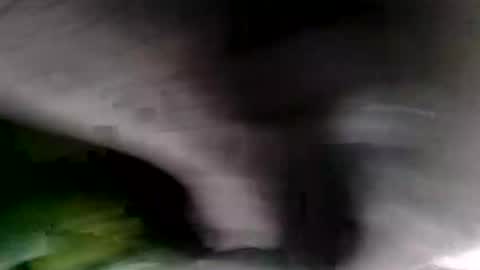 Snapshot of bignastyfilthy chatting on January 2026 02:15:01 AM bignastyfilthy online show from January 2026 02:15:01 AM