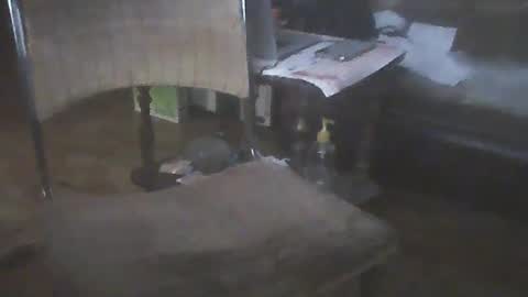 bigpenix online show from January 2025 02:06:02 AM