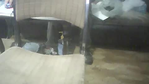 bigpenix online show from October 2025 02:04:01 AM