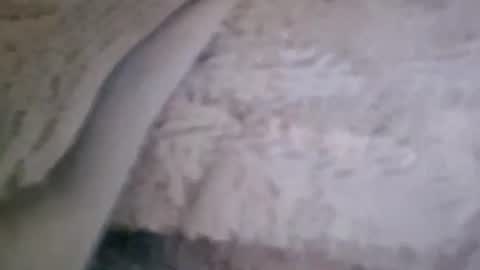 bigsssnake69 online show from July 2026 10:47:02 PM