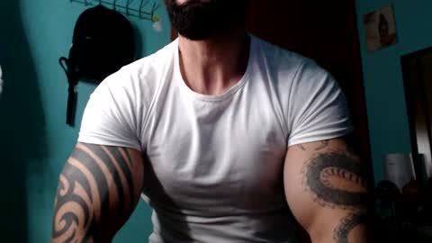 BigStallion online show from January 2025 11:55:01 PM