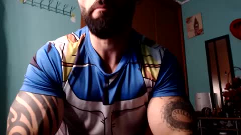 BigStallion online show from February 2025 12:04:01 AM