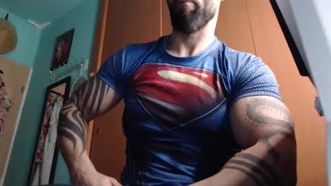 BigStallion online show from February 2026 12:06:01 AM