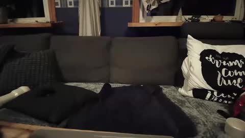 bigswe1 online show from December 2024 04:23:02 AM