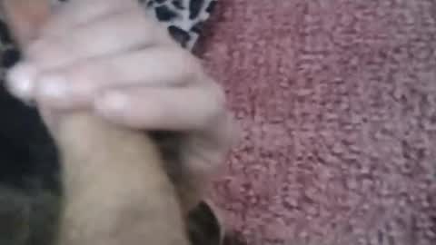 Snapshot of bigwalkdog420 chatting on January 2025 06:58:02 PM bigwalkdog420 online show from January 2025 06:58:02 PM