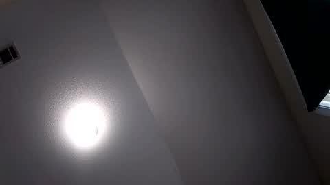 Bigwood14 online show from January 2025 05:13:02 PM