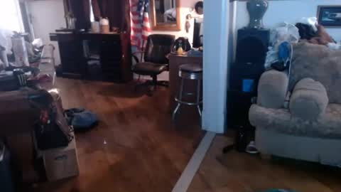 bigwoodman831 online show from July 2026 09:08:01 PM
