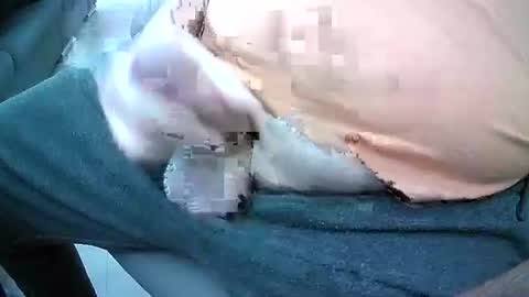 bikeman17 online show from October 2025 08:45:02 AM