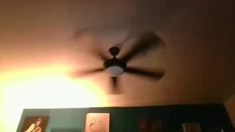 Snapshot of billjames55 chatting on March 2026 08:42:02 AM billjames55 online show from March 2026 08:42:02 AM