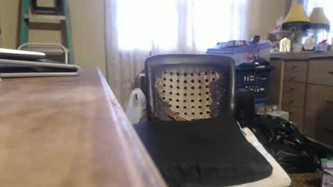 Bimbttm online show from December 2024 01:00:02 PM