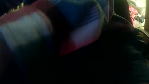 bingz88 online show from March 2026 02:08:02 AM