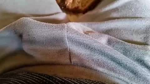 Snapshot of bisasam02 chatting on March 2026 08:51:02 AM pocolococo online show from March 2026 08:51:02 AM