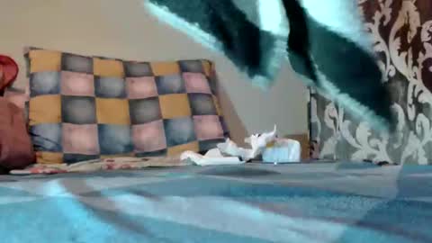 Snapshot of bivolarut30 chatting on March 2025 09:07:02 PM if you love pussy give 1 token - im a poor girl any token counts-my shop video pussy  virgina  hairy pussy 1 token online show from March 2025 09:07:02 PM