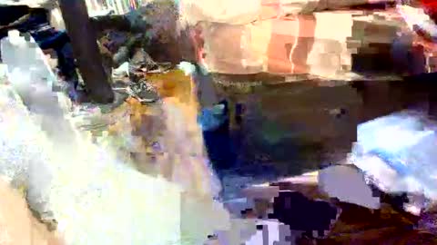 bjlonely7 online show from May 2026 04:36:01 PM