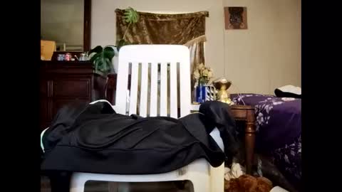 Snapshot of blacccocc4u2 chatting on March 2026 12:16:01 PM blacccocc4u2 online show from March 2026 12:16:01 PM