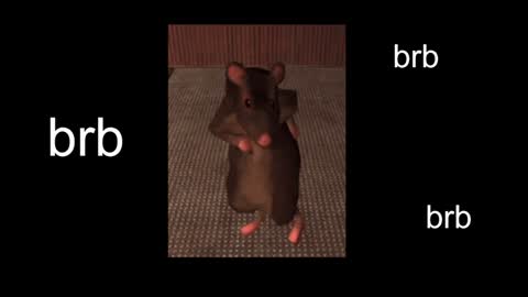  Black Kittie    Wednesday - 1300 - 1900 GMT help me get 100 thumbs up online show from January 2025 01:12:02 PM