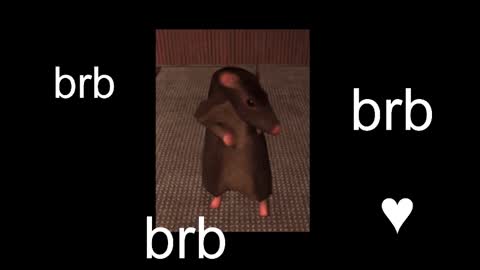  Black Kittie    Wednesday - 1300 - 1900 GMT help me get 100 thumbs up online show from September 2025 12:15:02 PM