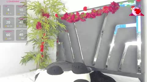 B L A C K  R O S E  online show from March 2025 11:47:02 AM