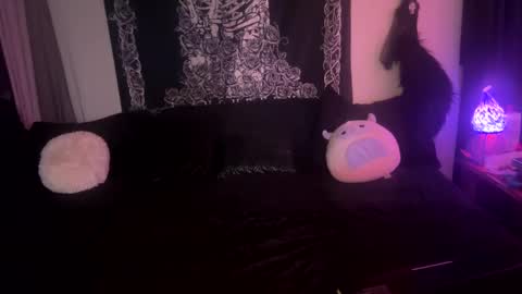 Snapshot of blackstarzara chatting on January 2025 04:22:02 AM blackstarzara online show from January 2025 04:22:02 AM