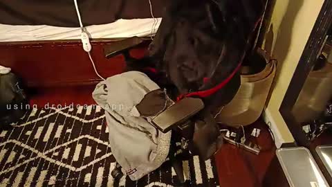 Blackjag00 online show from March 2025 09:26:02 PM