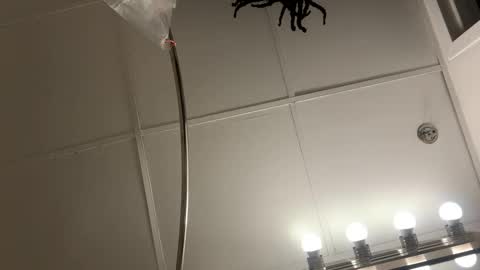 blastt4meee online show from January 2026 07:27:02 PM