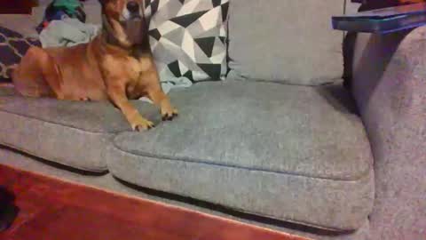 blaw_1321 online show from November 2025 08:57:01 AM