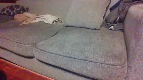 blaw_1321 online show from April 2026 07:37:02 AM