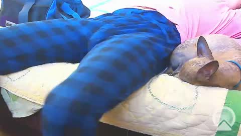 First Time College Boy online show from February 2025 10:00:02 PM