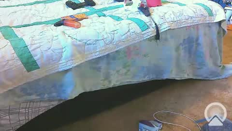 First Time College Boy online show from February 2025 02:24:02 PM