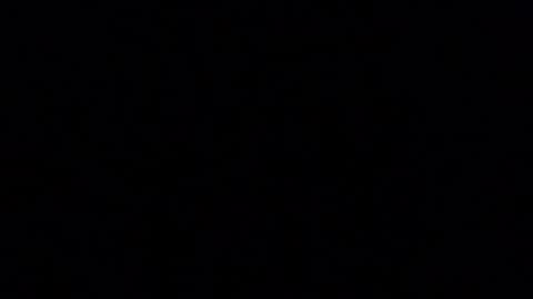 Snapshot of blueishgoldish chatting on March 2026 12:14:01 AM blueishgoldish online show from March 2026 12:14:01 AM