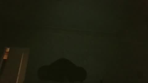 bluemoose70 online show from April 2026 02:55:01 AM