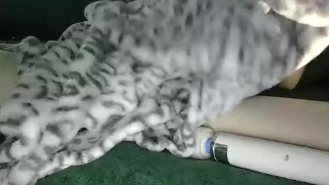 Snapshot of blyss666 chatting on October 2025 09:39:02 PM lyss online show from October 2025 09:39:02 PM