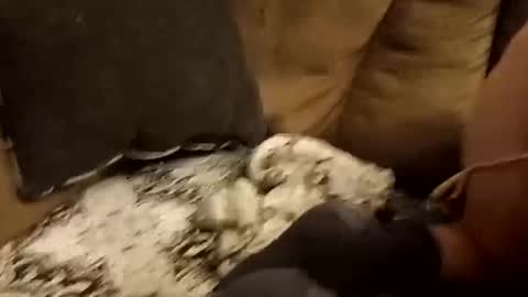 Snapshot of bnaa2m chatting on September 2025 01:49:01 PM Assdrtyasuwant online show from September 2025 01:49:01 PM