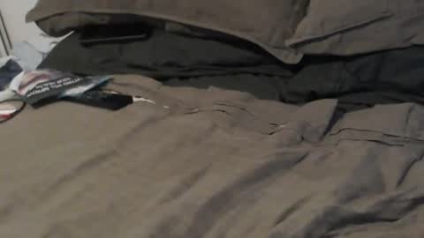 bob online show from December 2024 04:54:02 AM