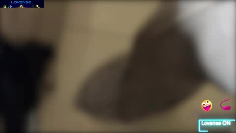 Bob  INDEPENDENT MODEL online show from December 2025 04:46:02 PM