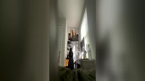 Snapshot of bobbyjones88034 chatting on June 2026 10:12:01 PM Luv bug online show from June 2026 10:12:01 PM