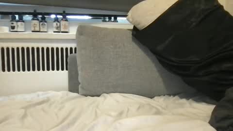 boblight221 online show from February 2025 06:26:01 PM