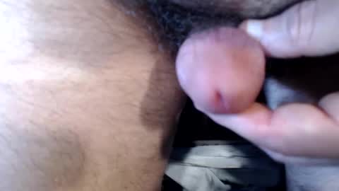 Snapshot of bobswan chatting on September 2025 06:53:02 PM bobswan online show from September 2025 06:53:02 PM