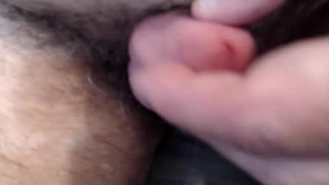 bobswan online show from February 2026 03:37:02 PM