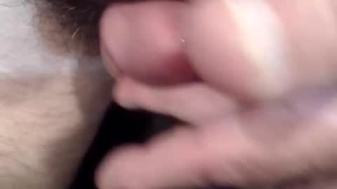 bobswan online show from April 2026 02:46:02 PM