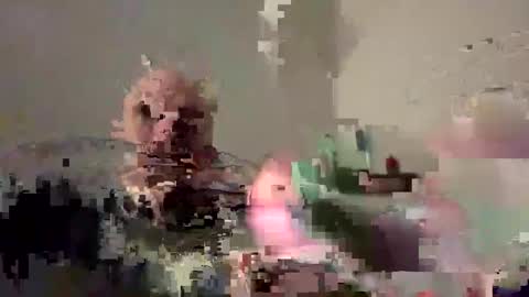 Bodyart85 19 online show from December 2024 05:55:01 PM