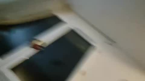 Snapshot of bomale89 chatting on December 2024 11:09:01 PM bomale89 online show from December 2024 11:09:01 PM