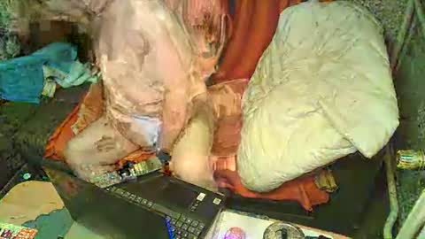 Bomber59potsdam online show from January 2025 09:32:02 PM