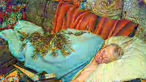 Bomber59potsdam online show from March 2025 09:37:02 PM