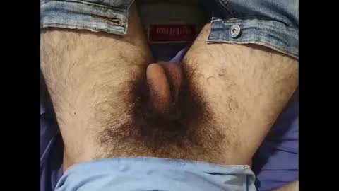 Snapshot of bomvemcam chatting on October 2025 08:03:01 AM Im Bom - Tip if You Liked my Hairy Body - Private Show is Open - Read more about me in the bio below online show from October 2025 08:03:01 AM