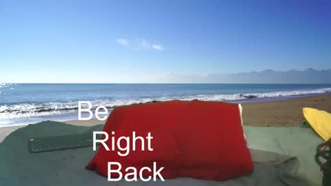 SkullBone online show from December 2024 03:45:02 AM