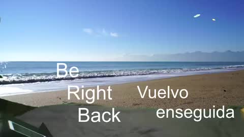 Snapshot of bongolian chatting on January 2025 02:52:01 AM SkullBone online show from January 2025 02:52:01 AM